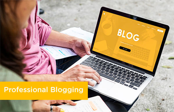 professional blogging online business ideas from home