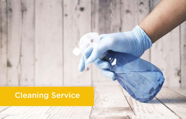 Cleaning Services Upcoming Business ideas in India for Startup